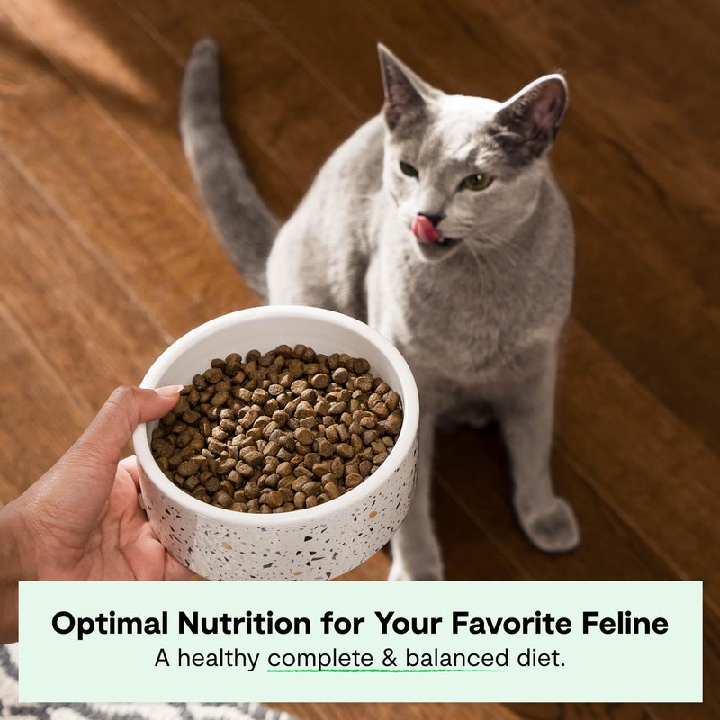 Open Farm, Grain Free Dry Cat Food, High-Protein Kibble for a Complete & Balanced Diet, Non-GMO Fruits & Vegetables, Prebiotic Fibers to Support Digestion, Homestead Turkey & Chicken Recipe, 8lb Bag - Image 2